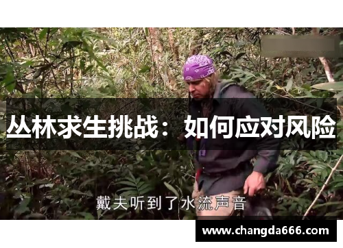 丛林求生挑战：如何应对风险