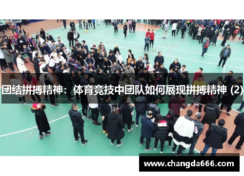 团结拼搏精神：体育竞技中团队如何展现拼搏精神 (2)