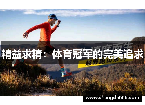 精益求精：体育冠军的完美追求