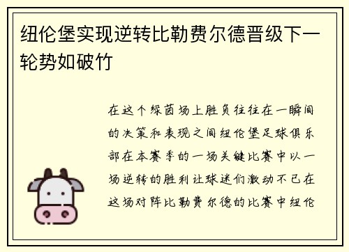 纽伦堡实现逆转比勒费尔德晋级下一轮势如破竹